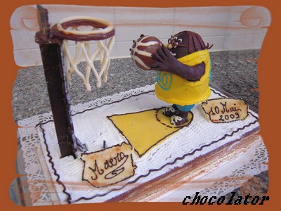 Terrain de basket